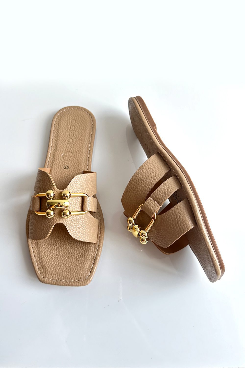 O137_4
